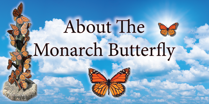 About The Monarch Butterfly